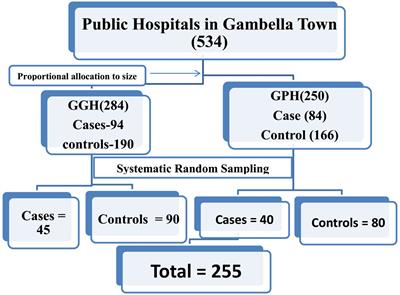 Determinants of acute malnutrition among 6–59 months old children in public hospitals in Gambella town, Southwest Ethiopia: unmatched case-control study